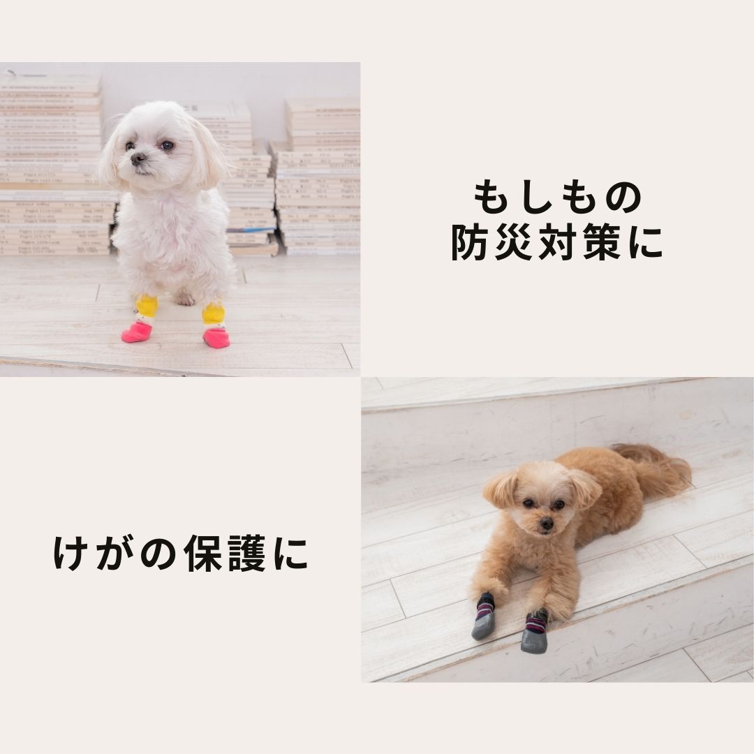 ラバーソックス S/M/L/XL Solgra-ソルグラ- 4個セット 犬用 ペット用 靴下 滑り止め トイプードル チワワ ポメラニアン SO21AW so155061-1