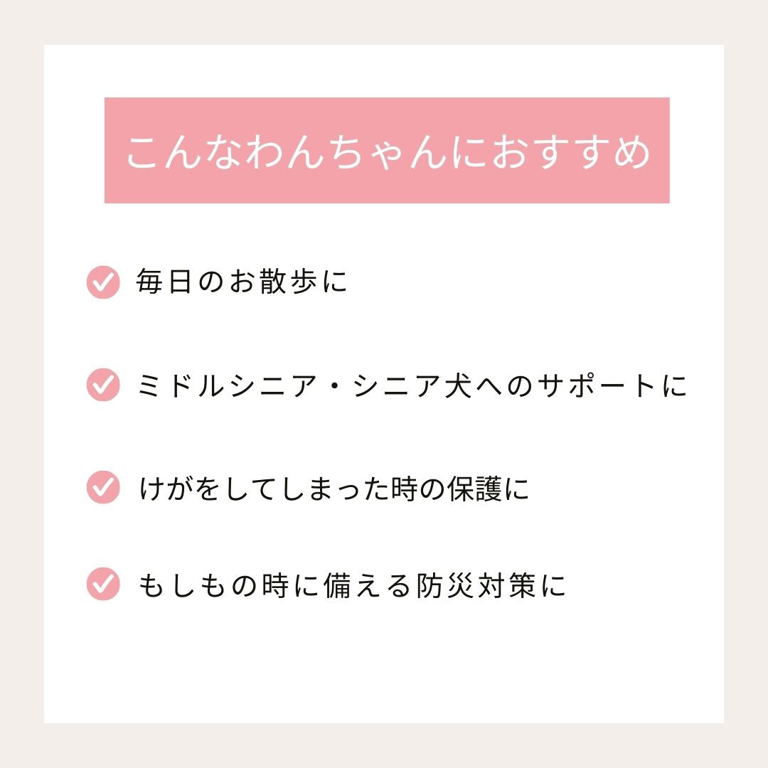 ラバーソックス S/M/L/XL Solgra-ソルグラ- 4個セット 犬用 ペット用 靴下 滑り止め トイプードル チワワ ポメラニアン SO21AW so155061-1