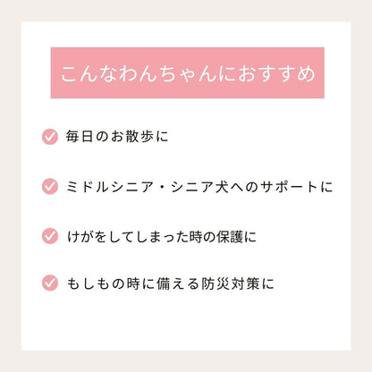 ラバーソックス S/M/L/XL Solgra-ソルグラ- 4個セット 犬用 ペット用 靴下 滑り止め トイプードル チワワ ポメラニアン SO21AW so155061-1