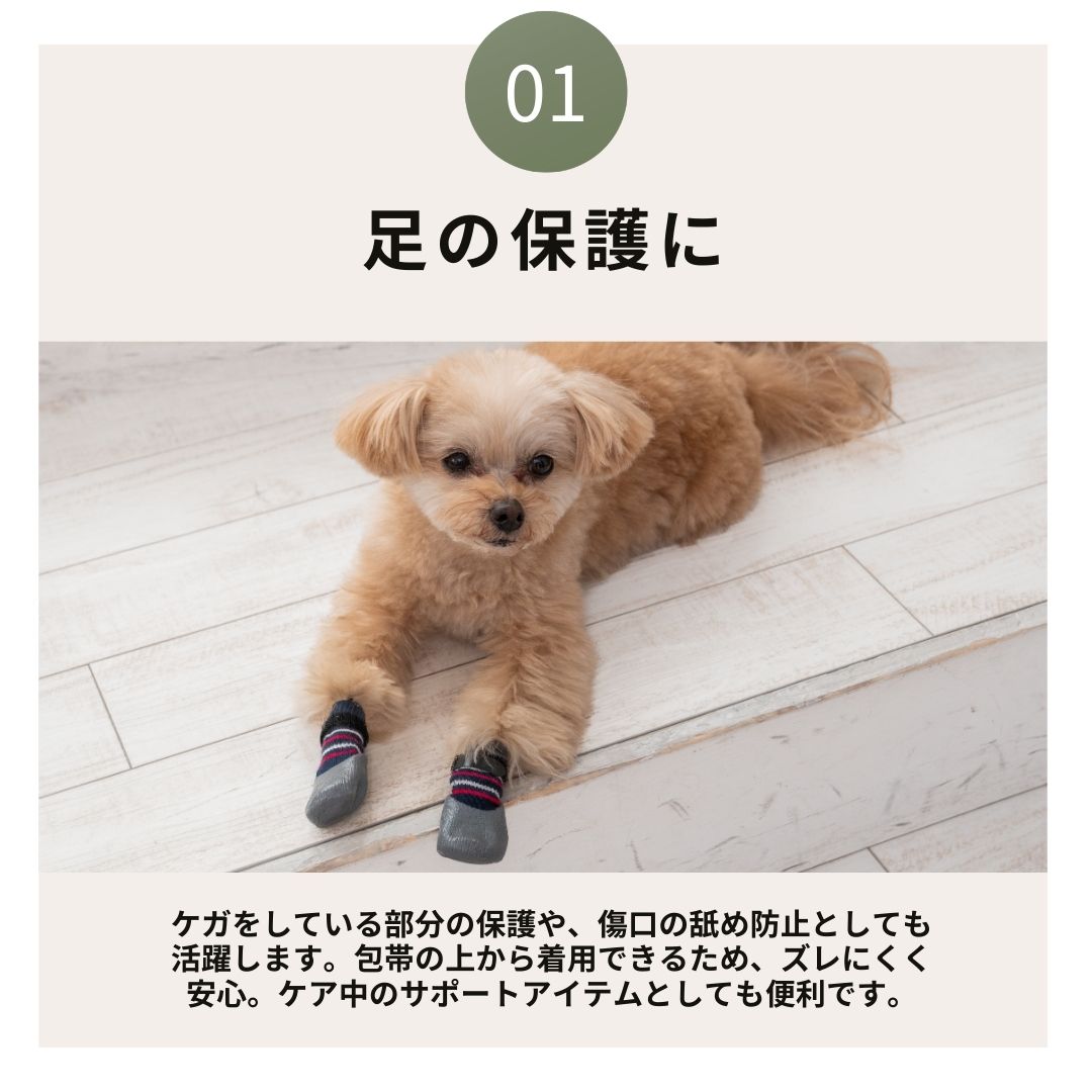 ラバーソックス S/M/L/XL Solgra-ソルグラ- 4個セット 犬用 ペット用 靴下 滑り止め トイプードル チワワ ポメラニアン SO21AW so155061-1