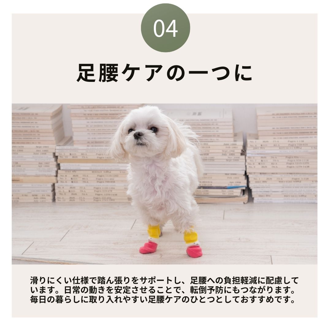 ラバーソックス S/M/L/XL Solgra-ソルグラ- 4個セット 犬用 ペット用 靴下 滑り止め トイプードル チワワ ポメラニアン SO21AW so155061-1