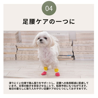 ラバーソックス S/M/L/XL Solgra-ソルグラ- 4個セット 犬用 ペット用 靴下 滑り止め トイプードル チワワ ポメラニアン SO21AW so155061-1