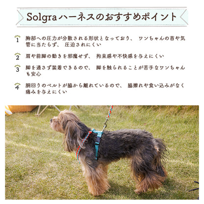 バイカラーコードハーネス S/M/L Solgra-ソルグラ- 犬用 ハーネス 小型犬 中型犬 SO22AW so169197-1