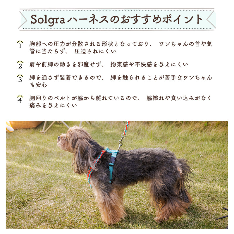 バイカラーコードハーネス  S/M/L Solgra-ソルグラ- 犬用 ペット用 犬具 お散歩 抜けにくい トイプードル チワワ ポメラニアン SO20SS so149025-1