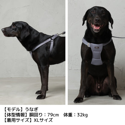 ナチュラルニットハーネス XL/XXL Solgra-ソルグラ- 大型犬用 ハーネス トイプードル チワワ ポメラニアン SO23SS so169237-2