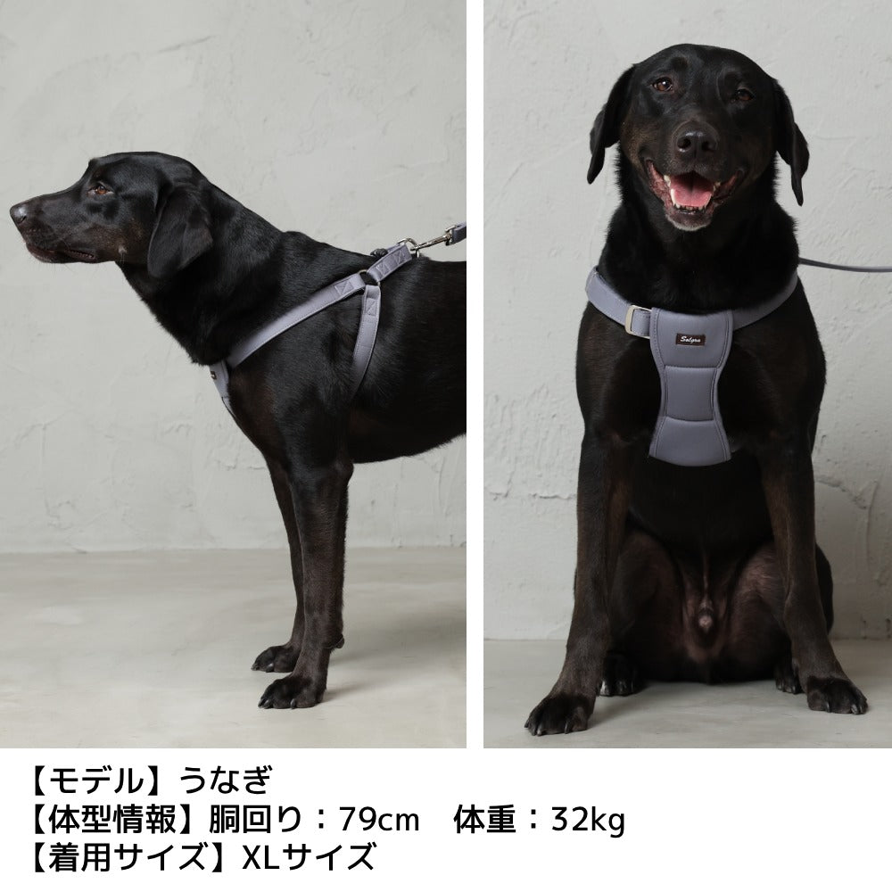 ナチュラルニットハーネス XL/XXL Solgra-ソルグラ- 大型犬用 ハーネス