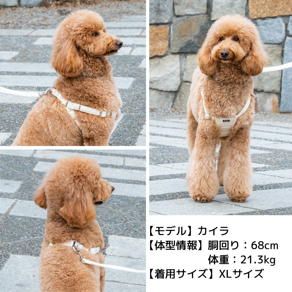 ナチュラルニットハーネス XL/XXL Solgra-ソルグラ- 大型犬用 ハーネス