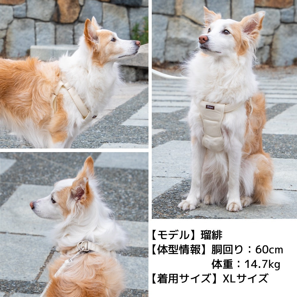 ナチュラルニットハーネス XL/XXL Solgra-ソルグラ- 大型犬用 ハーネス