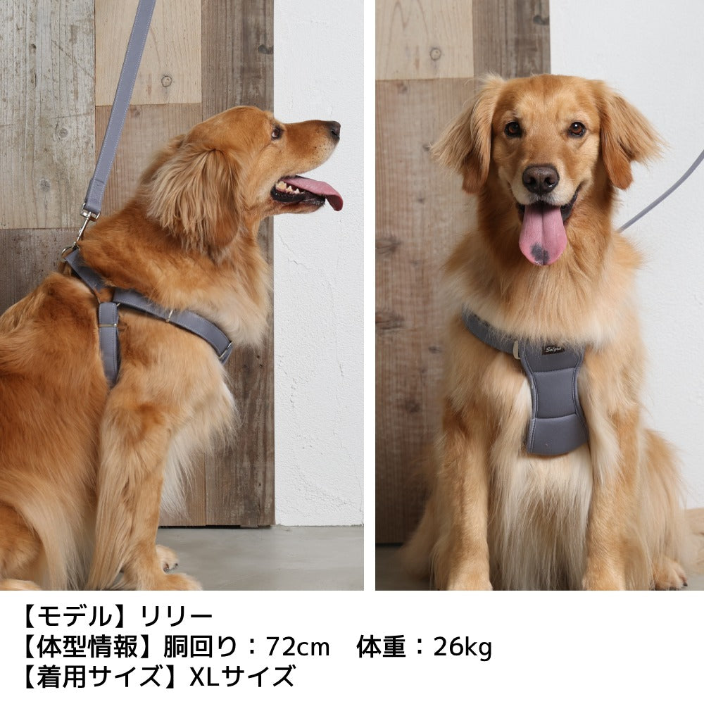 ナチュラルニットハーネス XL/XXL Solgra-ソルグラ- 大型犬用 ハーネス