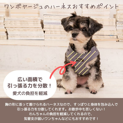 ナチュラルニットハーネス XL/XXL Solgra-ソルグラ- 大型犬用 ハーネス トイプードル チワワ ポメラニアン SO23SS so169237-2