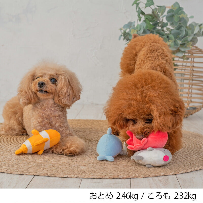 水族館おもちゃ F Solgra TOY -ソルグラ トイ- 犬用おもちゃ タコ イルカ アザラシ クマノミ マンボウ ドッグトイ トイプードル チワワ ポメラニアン SO23SS so235249-1