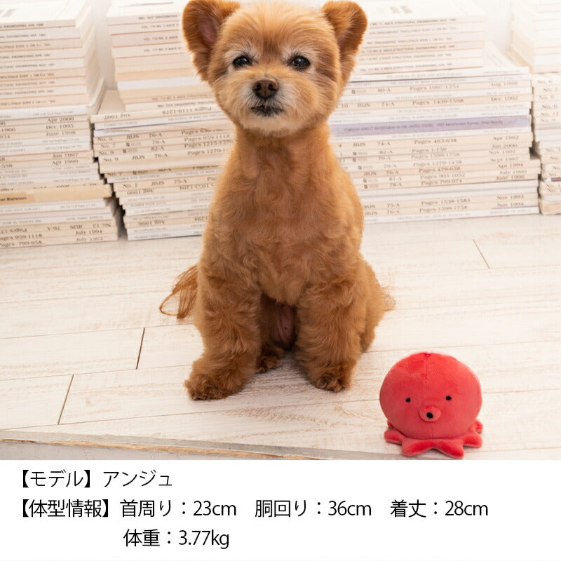 水族館おもちゃ F Solgra TOY -ソルグラ トイ- 犬用おもちゃ タコ イルカ アザラシ クマノミ マンボウ ドッグトイ トイプードル チワワ ポメラニアン SO23SS so235249-1