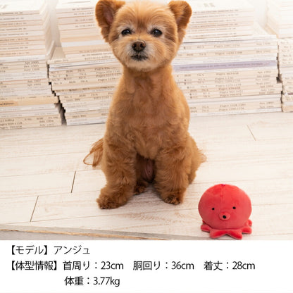 水族館おもちゃ F Solgra TOY -ソルグラ トイ- 犬用おもちゃ タコ イルカ アザラシ クマノミ マンボウ ドッグトイ トイプードル チワワ ポメラニアン SO23SS so235249-1