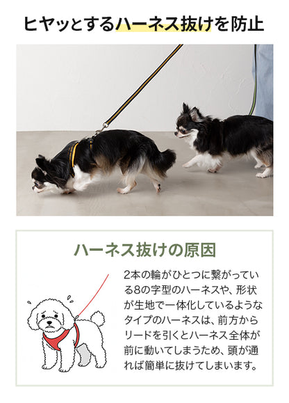 スポーティーハーネス S/M/L Solgra-ソルグラ- 小型犬用 ハーネス SO23AW so239293-1