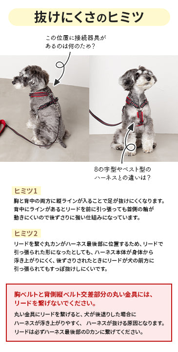 スポーティーハーネス S/M/L Solgra-ソルグラ- 小型犬用 ハーネス SO23AW so239293-1