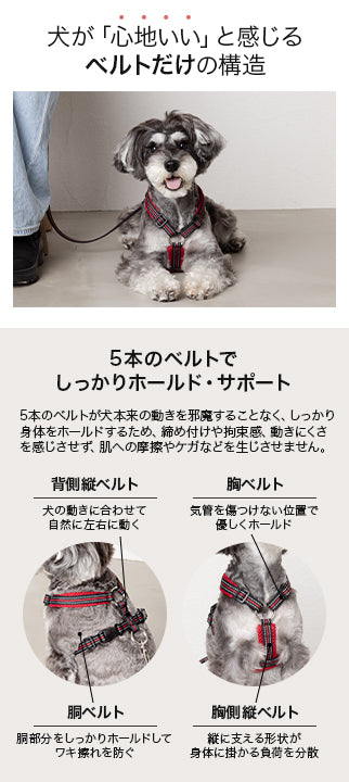 スポーティーハーネス S/M/L Solgra-ソルグラ- 小型犬用 ハーネス SO23AW so239293-1
