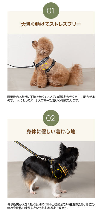 スポーティーハーネス S/M/L Solgra-ソルグラ- 小型犬用 ハーネス SO23AW so239293-1
