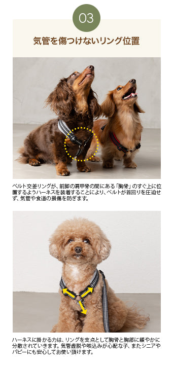 スポーティーハーネス S/M/L Solgra-ソルグラ- 小型犬用 ハーネス SO23AW so239293-1