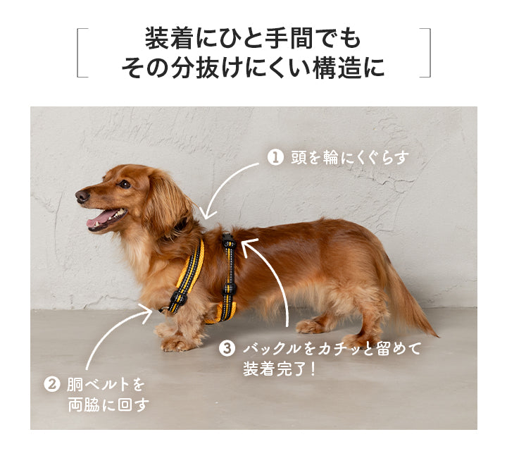 スポーティーハーネス S/M/L Solgra-ソルグラ- 小型犬用 ハーネス