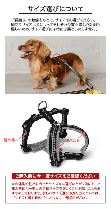 スポーティーハーネス S/M/L Solgra-ソルグラ- 小型犬用 ハーネス SO23AW so239293-1