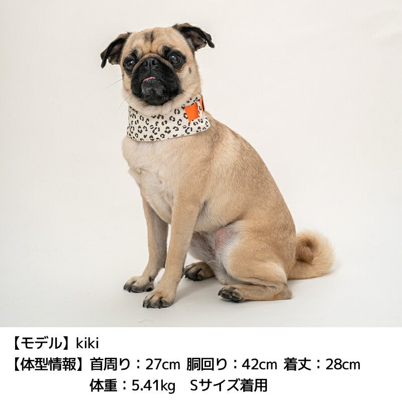クールネック 保冷剤セット S/M Solgra-ソルグラ- 犬用 SO24SS