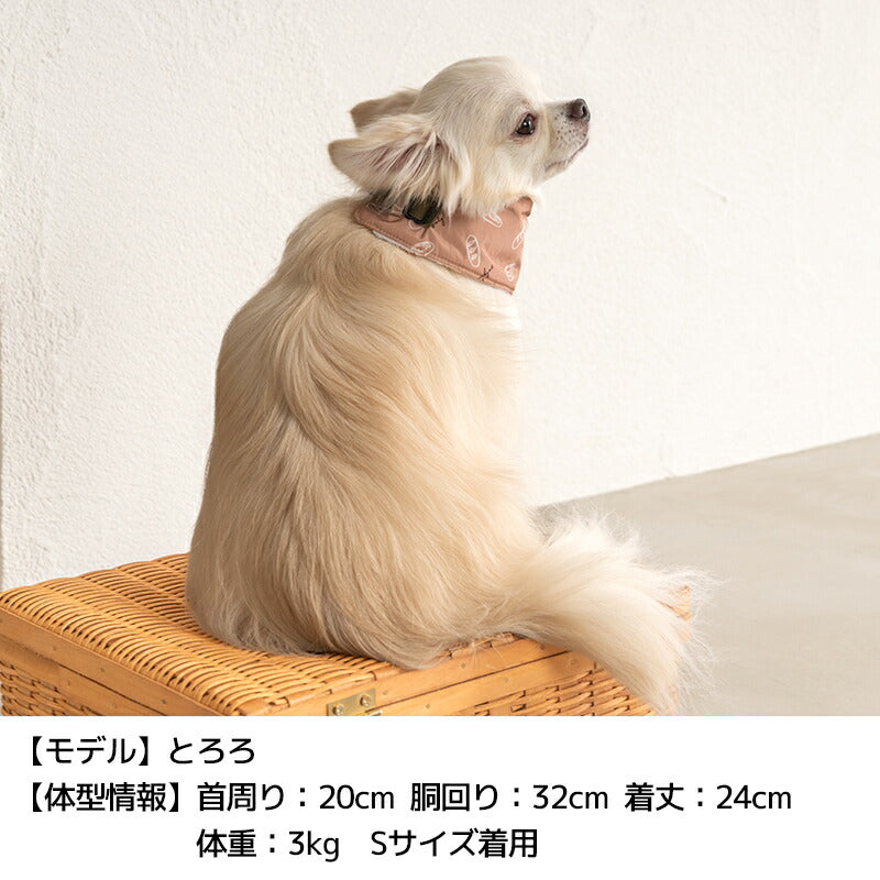 クールネック 保冷剤セット S/M Solgra-ソルグラ- 犬用 SO24SS