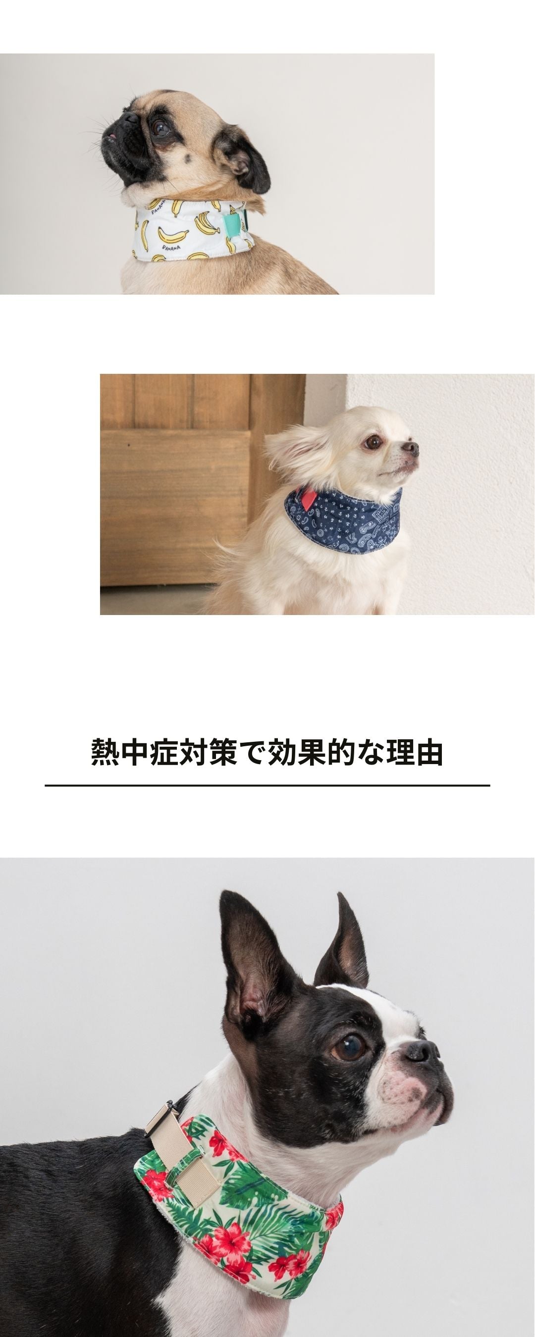 クールネック 保冷剤セット S/M Solgra-ソルグラ- 犬用 SO24SS