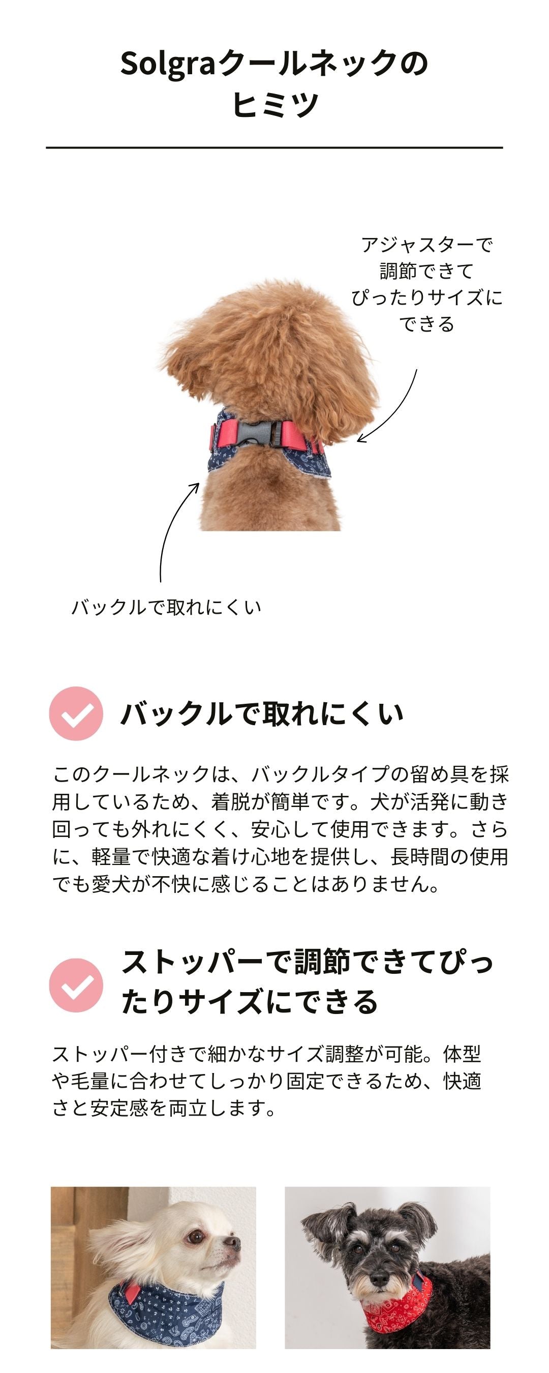 クールネック 保冷剤セット S/M Solgra-ソルグラ- 犬用 SO24SS