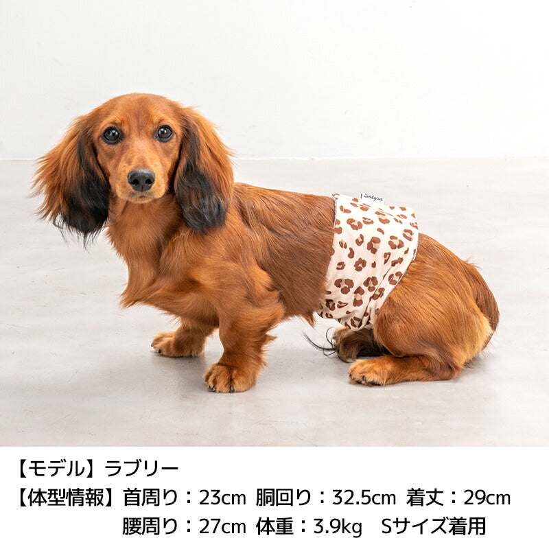 マナーベルト S/M/L/XL Solgra-ソルグラ- 犬用 SO24AW so246404