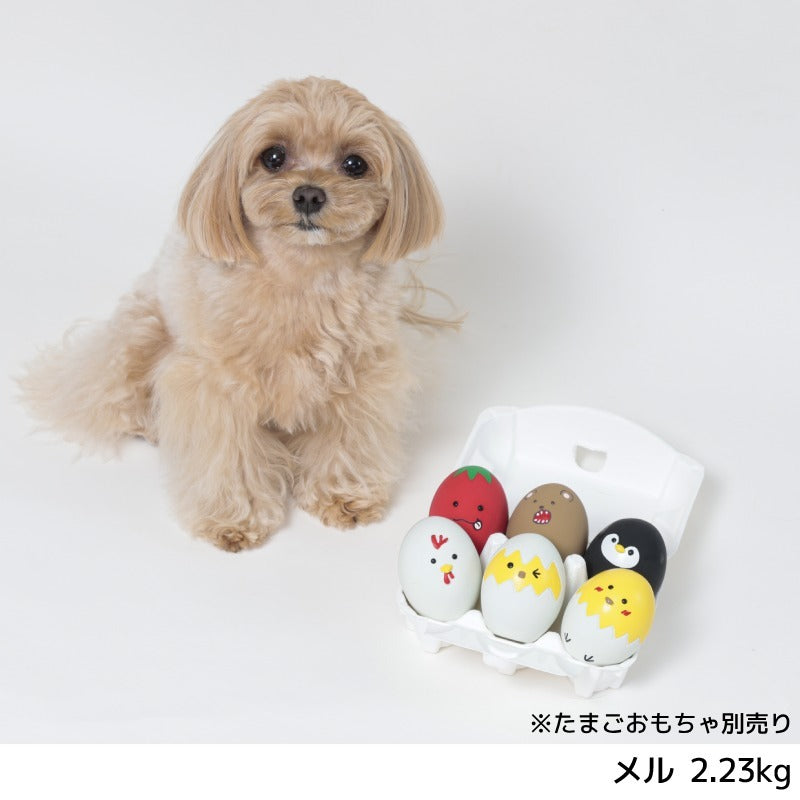 ラテックススペシャルBOX Free Solgra TOY -ソルグラ トイ- 犬用おもちゃ ドッグトイ SO24AW so240418