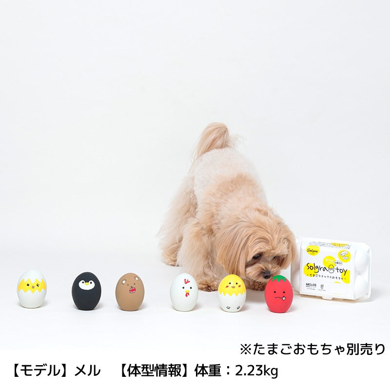 ラテックススペシャルBOX Free Solgra TOY -ソルグラ トイ- 犬用おもちゃ ドッグトイ SO24AW so240418