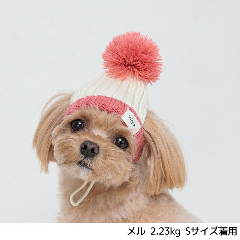 ニュアンスカラーニット帽 S/SM/M/L Solgra-ソルグラ- 犬用帽子 SO24AW so242420