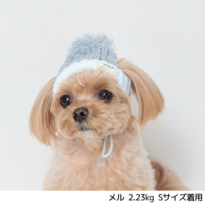 ビビットカラーニット帽 S/SM/M/L Solgra-ソルグラ- 犬用帽子 SO24AW so242421