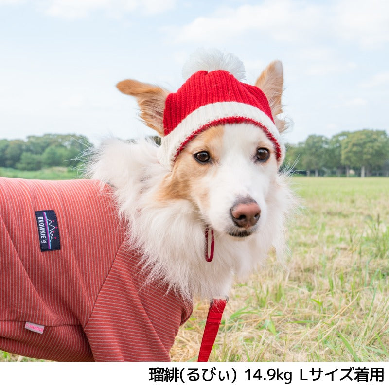 ビビットカラーニット帽 S/SM/M/L Solgra-ソルグラ- 犬用帽子 SO24AW so242421