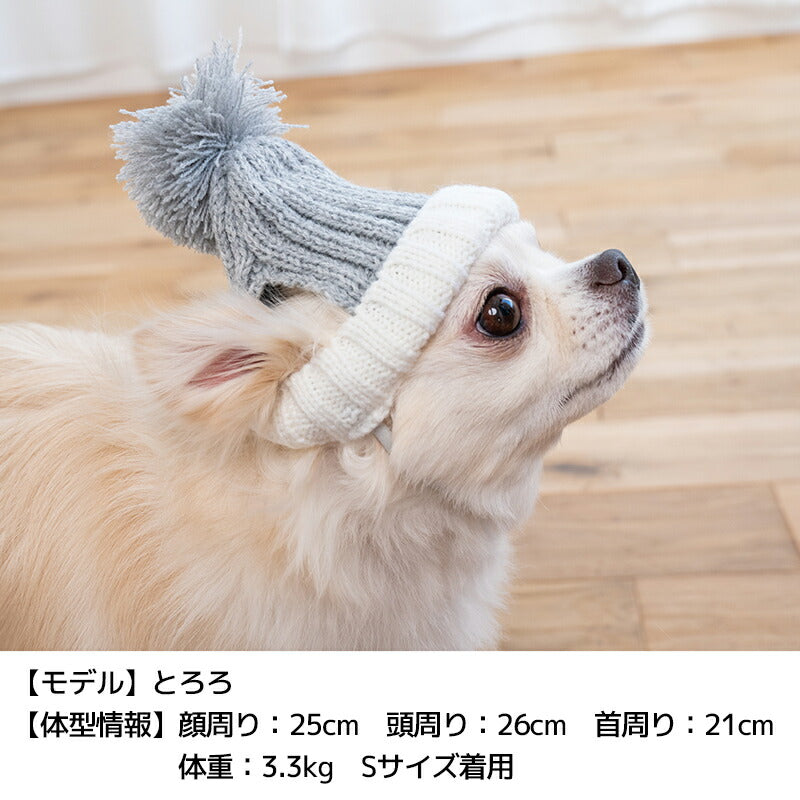 ビビットカラーニット帽 S/SM/M/L Solgra-ソルグラ- 犬用帽子 SO24AW so242421