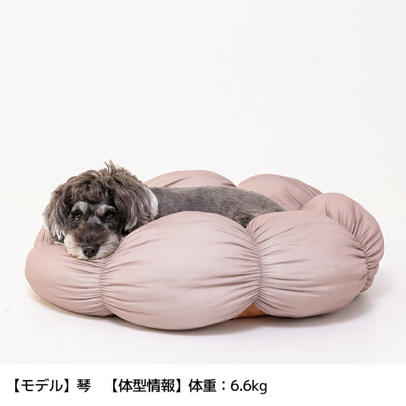 クール花型ベッド F Solgra-ソルグラ- 犬用ベッド・マット SO25SS