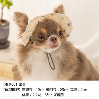 帽子 S/SM/M/L/XL Solgra-ソルグラ- 犬用帽子 SO25SS so252450