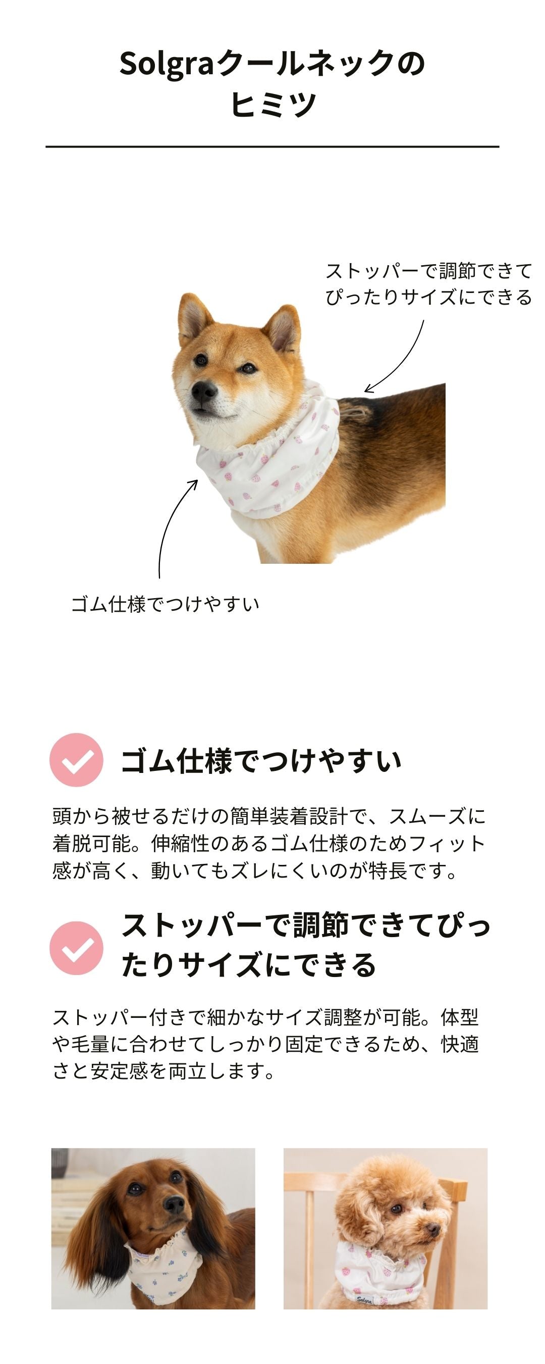 フリルクールネック S/M/L Solgra-ソルグラ- 犬用 SO25SS so252457