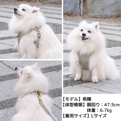 ナチュラルキャンバスハーネス XS/S/M/L Solgra-ソルグラ- 犬用ハーネス SO25SS so259472