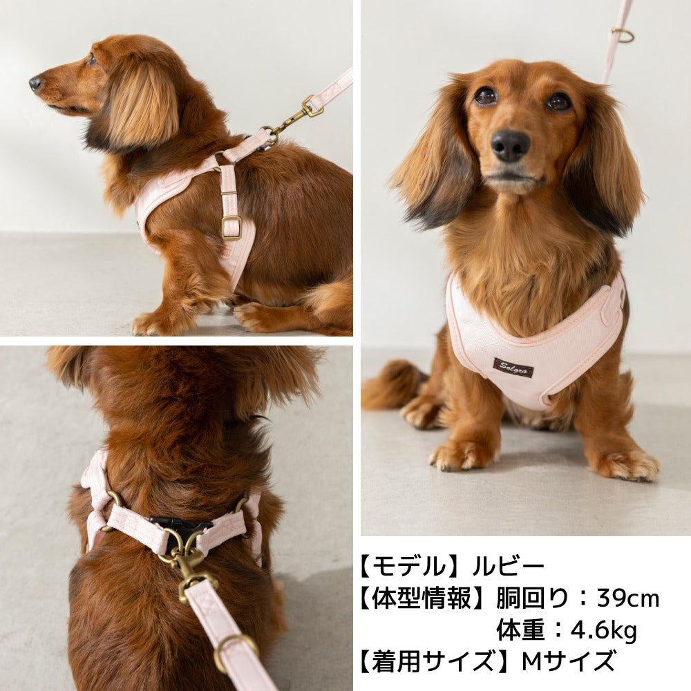 ナチュラルキャンバスハーネス XS/S/M/L Solgra-ソルグラ- 犬用ハーネス SO25SS so259472