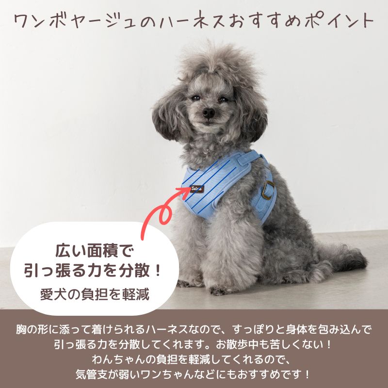 ナチュラルキャンバスハーネス XS/S/M/L Solgra-ソルグラ- 犬用ハーネス SO25SS so259472