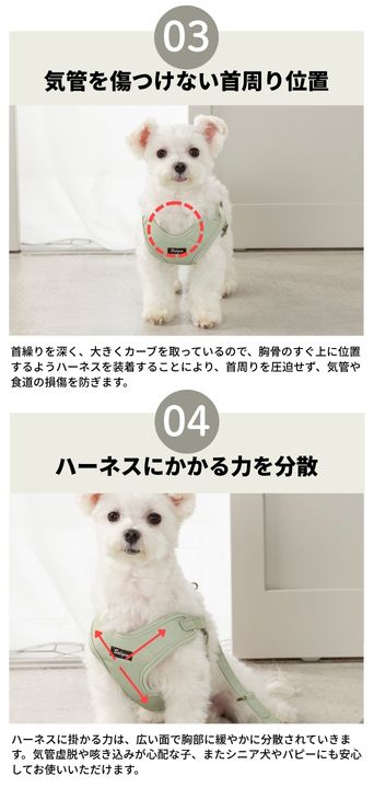 ナチュラルキャンバスハーネス XS/S/M/L Solgra-ソルグラ- 犬用ハーネス SO25SS so259472