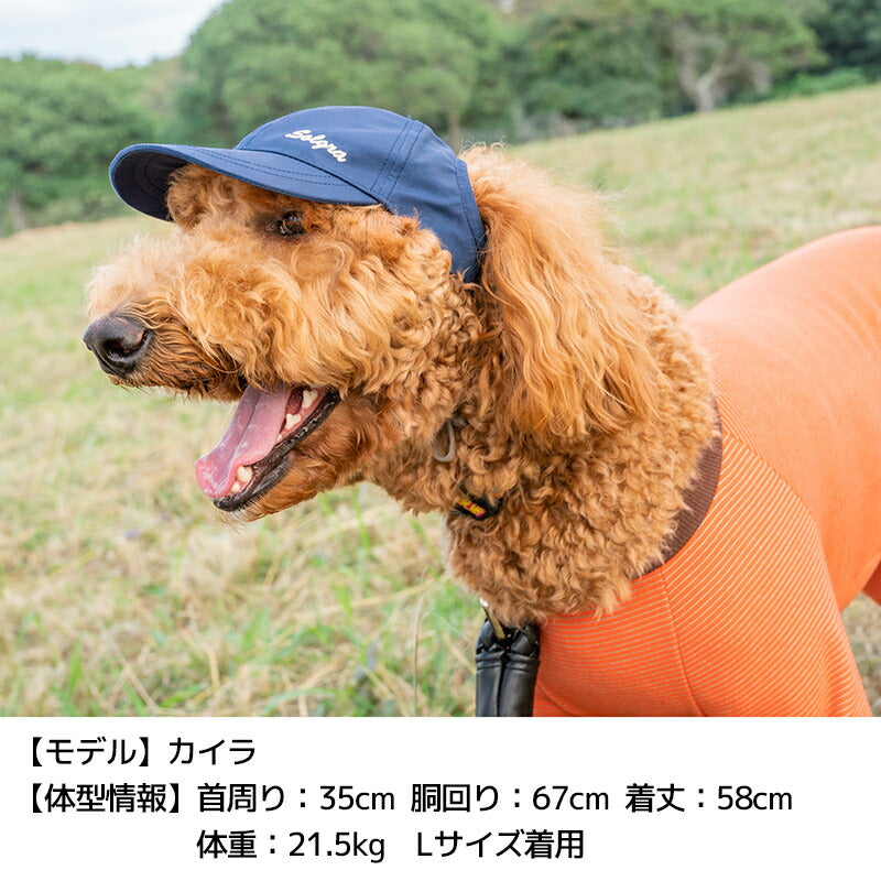 ソルグラキャップ S/SM/M/L Solgra-ソルグラ- 犬用帽子 SO25SS