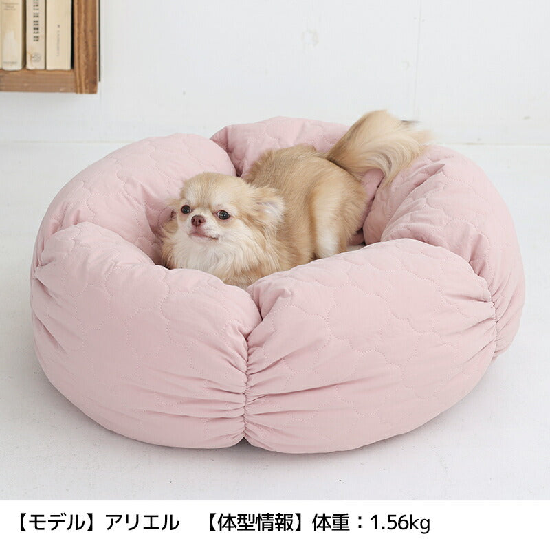 花型ベッド Free Solgra-ソルグラ- 犬用 SO25AW so257513 – WAN VOYAGE