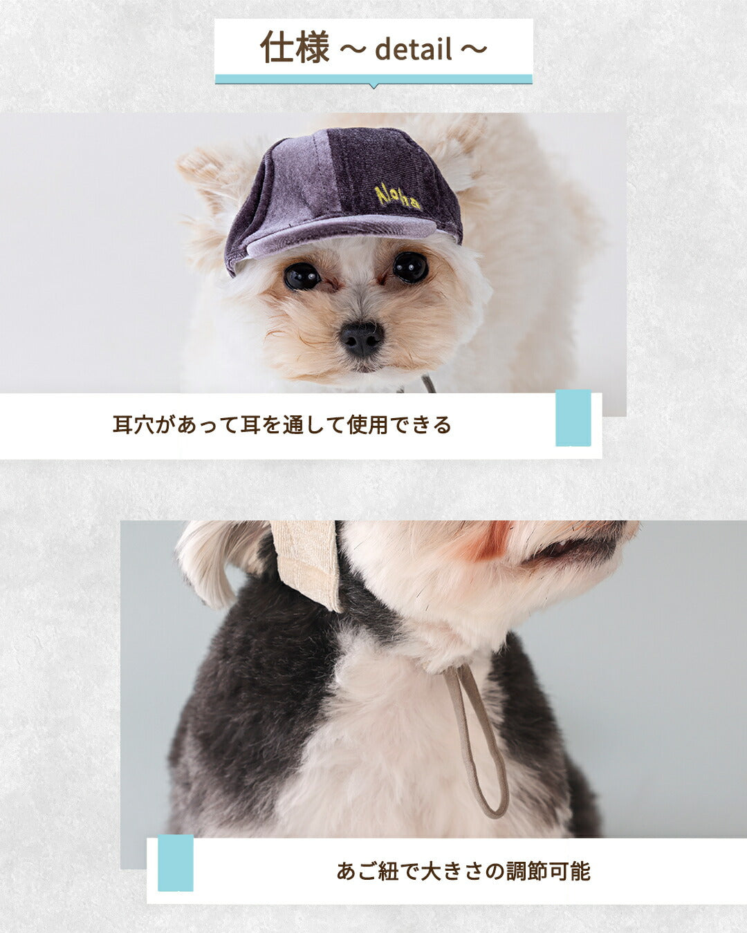 ベロアキャップ S/SM/M/L/XL Solgra-ソルグラ- 犬用 帽子 SO25AW so252531