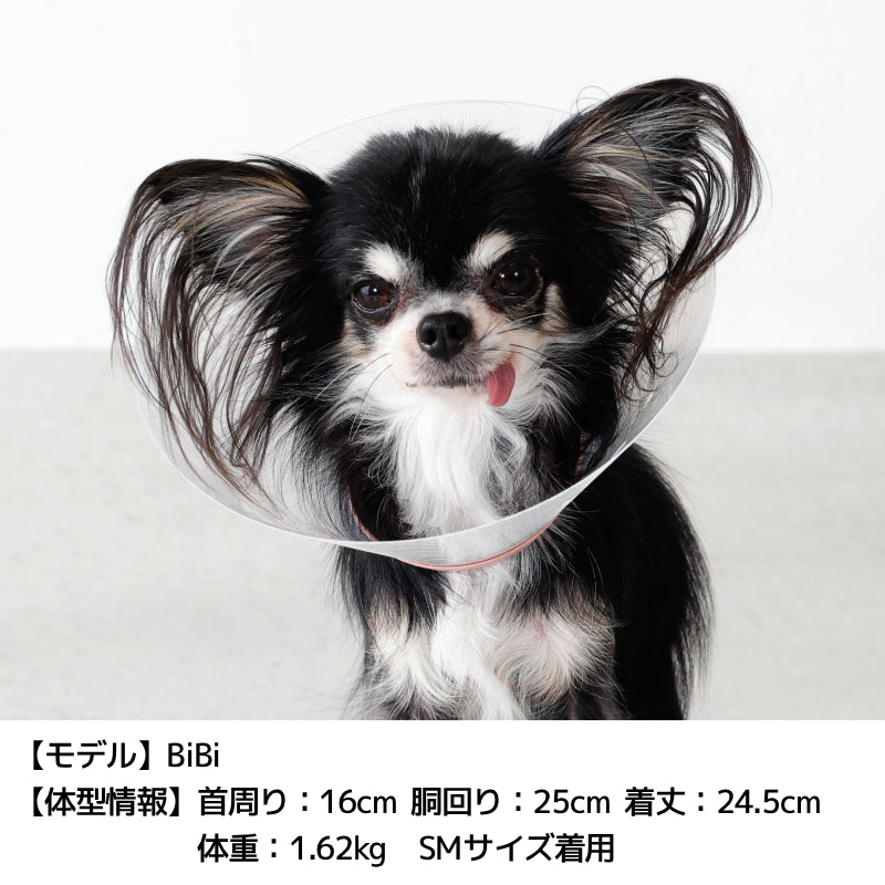 パイピングペリーブカラー S/SM/M/L/XL/4L Solgra-ソルグラ- 犬用 SO25AW so253547