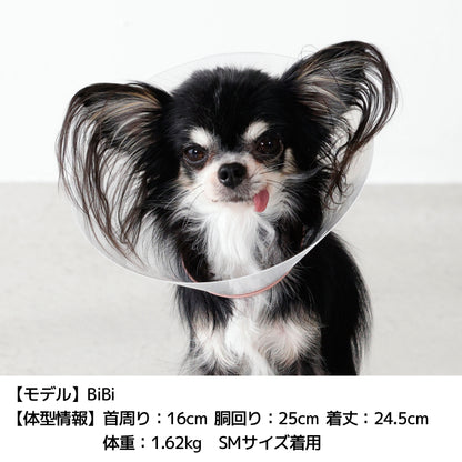 パイピングペリーブカラー S/SM/M/L/XL/4L Solgra-ソルグラ- 犬用 SO25AW so253547