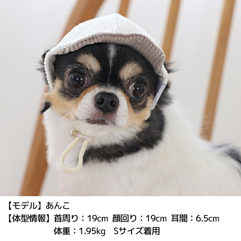 コーデユロイキャップ S/SM/M/L/XL Solgra-ソルグラ- 犬用 帽子 SO25AW so252585