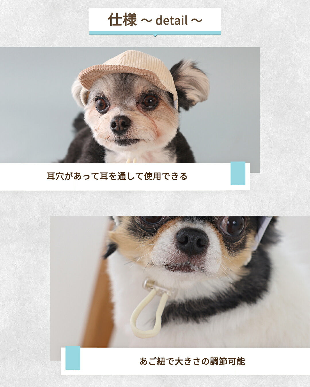 コーデユロイキャップ S/SM/M/L/XL Solgra-ソルグラ- 犬用 帽子 SO25AW so252585