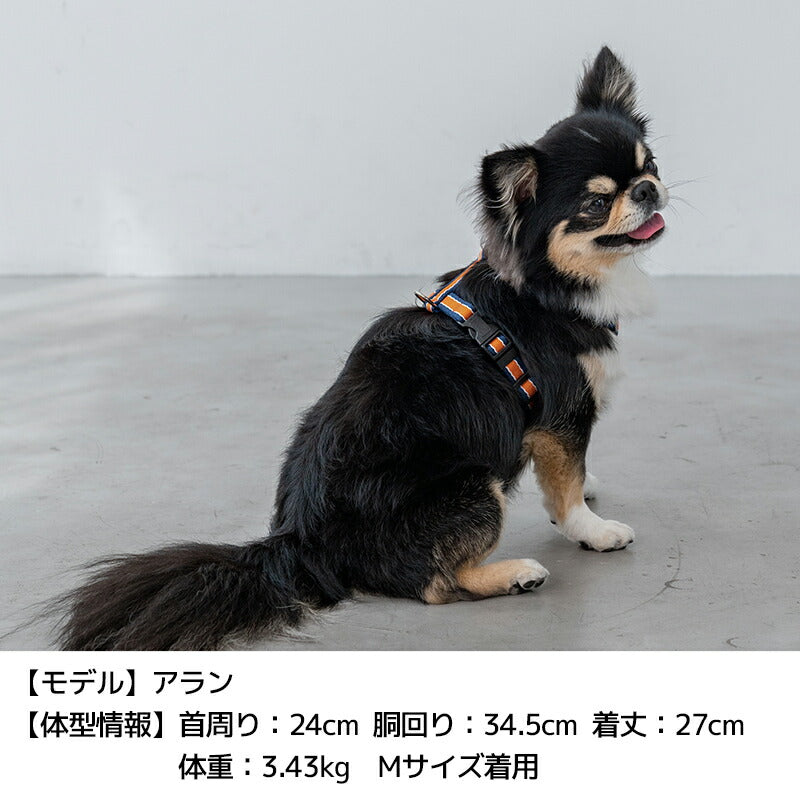 公式通販限定】ラインハーネス S/M/L Solgra-ソルグラ- 犬用